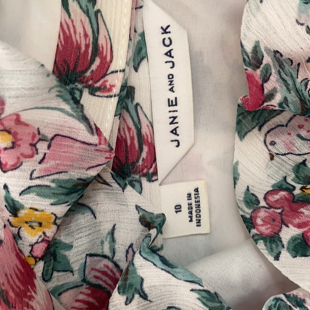 Janie and Jack floral bird chinoiserie print dress size 10 - Picture 3 of 4